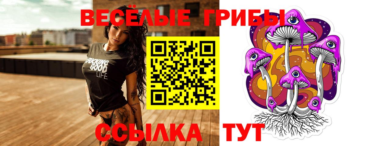 Галлюциногенные грибы MAGIC MUSHROOMS  Вход с VPN  Алушта 